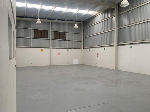 Bodega Renta Terra Business Park Excelente Ubicacion