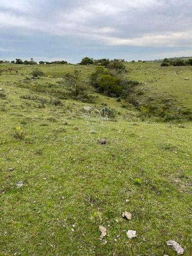 Imagen 6 de 11 de Campo En Carape - Con Hermosa Cañada - Oportunidad !!!!! - Zona Rural
