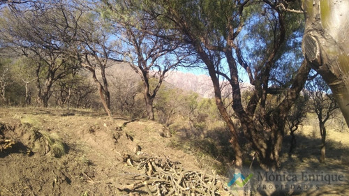 Oportunidada Nuevo Precio Lote En Villa Elena De 7647m2 Ideal Cabañeros Cortaderas San Luis
