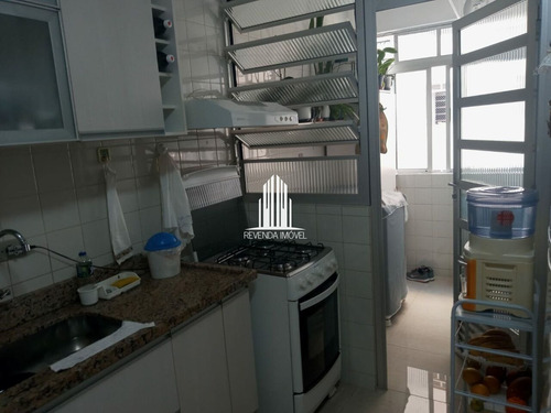 Imagem 2 de 15 de Apartamento Com 3 Dormitórios No Jardim Esther Yolanda. - Mz7295
