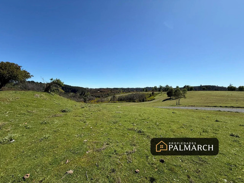 Venta Parcelas Urbanas En  Penco