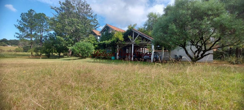 Imagen 2 de 16 de Venta Chacra En La Pataia Con Casa 4 Dormitorios
