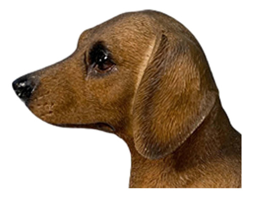 Figura De Perro Salchicha, Estatua De Perro Salchicha,