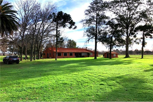 Imagen 6 de 21 de Venta Campo De 195 Ha. En Manzanares Pilar - Único