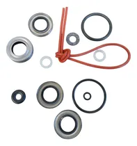 Comprar Repuesto Johnson-evinrude Kit Retenes Transmision 25hp