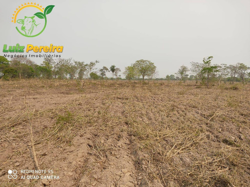 Imagem 5 de 5 de Fazenda À Venda Em Jardim - Ms - De 700 Hec/planta 500 Hectares De Soja - 1770