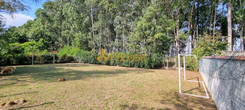 Imagem 12 de 16 de Rural Chacara Com 5 Quartos - 880808-v