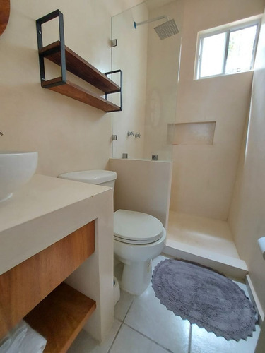 Imagen 19 de 30 de Departamento En Renta, Recien Remodelado Y Nuevo, Planta Baj