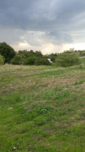 Imagen 5 de 12 de Terreno En Texcoco (venta)
