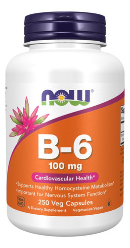 Vitamin B-6 Now Foods Vitamina B6 100 Mg 250 Caps Piridoxina