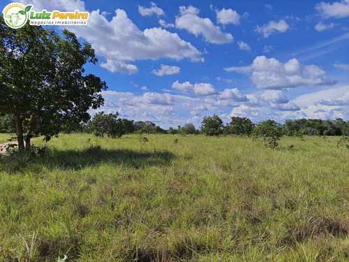 Imagem 1 de 10 de Fazenda À Venda Em Colinas - To - 498,53 Hectares (dupla Aptidão) - 2137