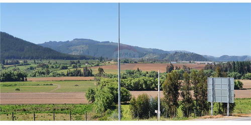Fundo El Paso. Gran Suelo Agrícola De 128 Ha.