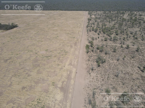 Campo En Venta 4100 Has.santiago Del Estero.apto Bonos Verde
