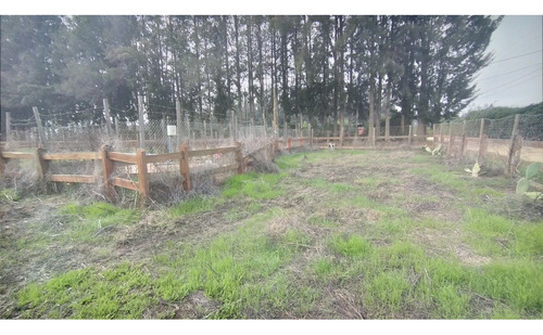 Se Vende Excelente Parcela En Los Laureles