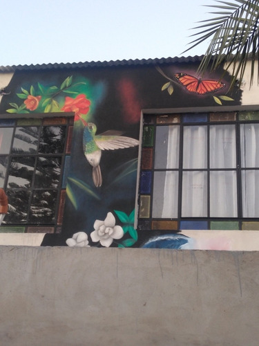 Murales Naturaleza Casas/comercios