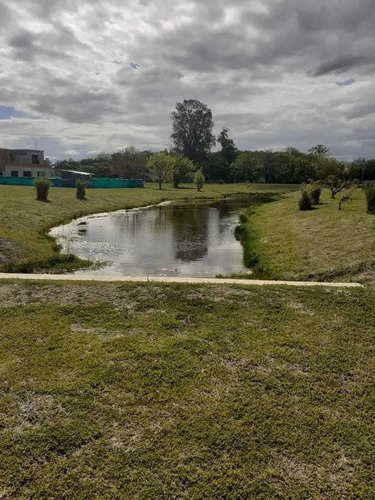 Imagen 6 de 10 de Terreno - Santa Elena
