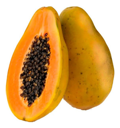 Mamão Papaya Hawaii - 2.50gr De Sementes