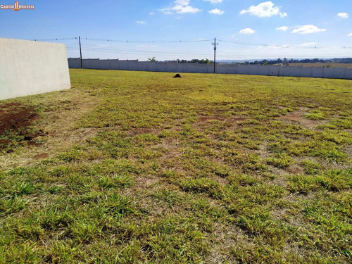 Imagem 5 de 7 de Terreno - Te00543 - 69906796