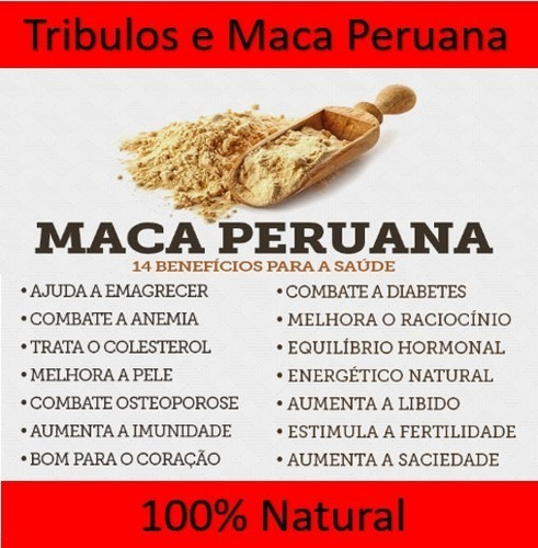 Como tomar maca peruana para ganho de massa muscular Tribulus Terrestris C Maca Peruana Aumento Libido E Massa Mercado Livre