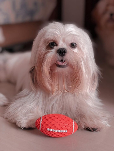 Brinquedo Mordedor Bola Futebol Americano Com Apito Cor Laranja