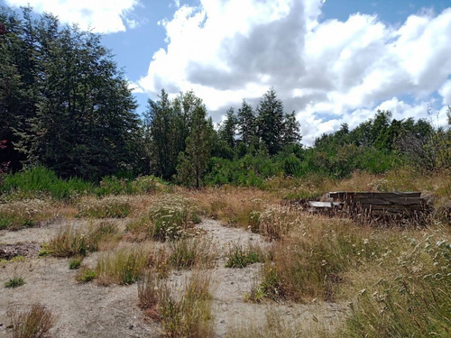Imagen 7 de 16 de Lote / Terreno De 2.885m2 En Villa La Angostura