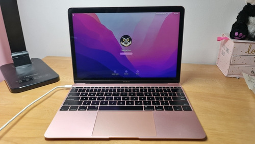 Computador Mac Pink 12 Versión 2018 8 Ram