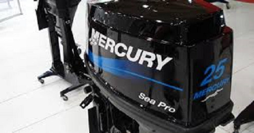 Motor Fuera De Borda Mercury 25 M Sea Pro