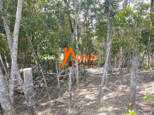 Imagem 25 de 30 de Chacara - Ch00095 - 68699428