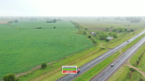 Imagen 13 de 30 de 24 Has Sobre Autovía Ruta 14 Colonia Elia Entre Ríos