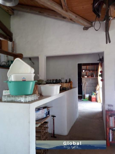 Imagen 5 de 26 de Excelente Finca De 31 Has En San Rafael , Mendoza Zona Vitivinícola Argentina