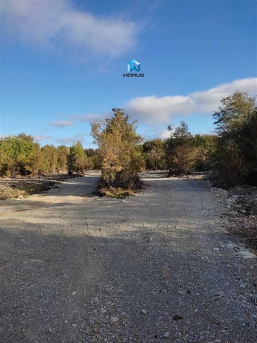Imagen 16 de 24 de Sitio En Venta En Calbuco