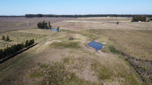 Venta De Chacra En Paraje Soca, Canelones Ie2 - 1691 (ref: Iea-1691)