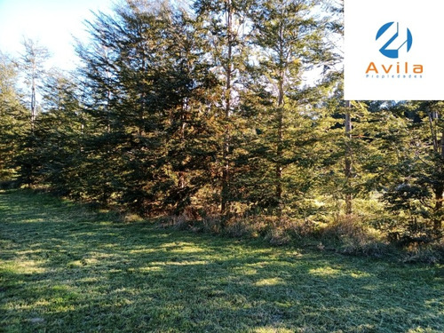 Pucón Huife Parcela 5.000m2 Condominio Trufulco Cod.vtap104