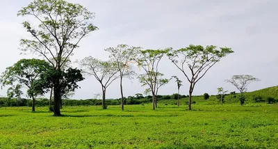 Hacienda-Finca en venta