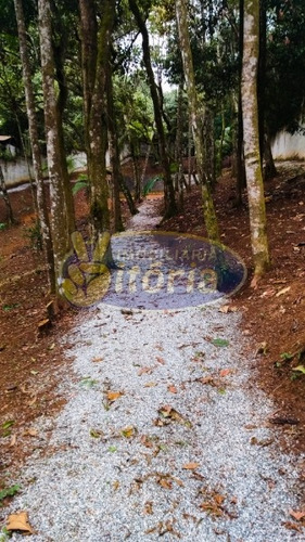Imagem 6 de 16 de Chácara A Venda No Parque Botujuru - Sbc - 11689