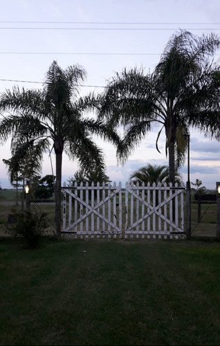 Imagen 3 de 14 de Campo En Gobernador Sola, Entre Rios.