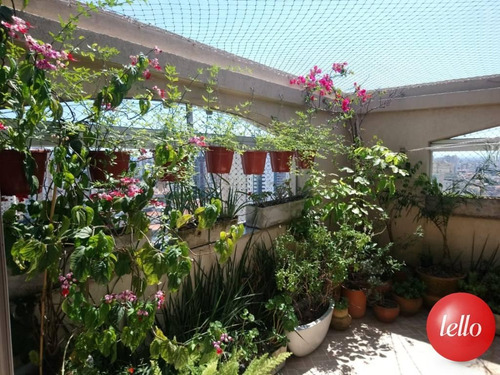 Imagem 19 de 30 de Apartamento - Ref: 124195
