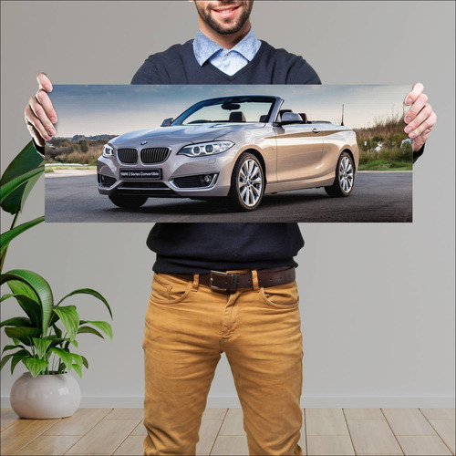 Cuadro 30x80cm Auto 2015 Bmw 2 Series Convertibl 255