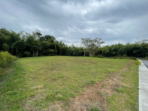 Venta Fantastico Lote El Tigre Cerritos Pereira