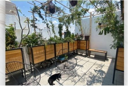Imagen 6 de 7 de Departamento Nuevo En Miguel Angel De Quevedo, Coyoacan