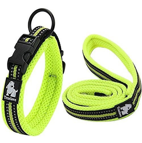 Creación Core Reflective Nylon Dog Collar Y Training P2pwu