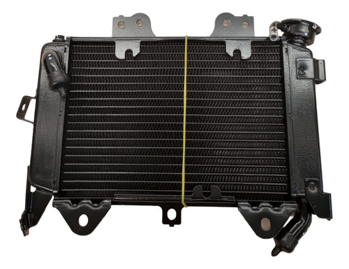 Radiador Pulsar Ns 200 Bajaj Original