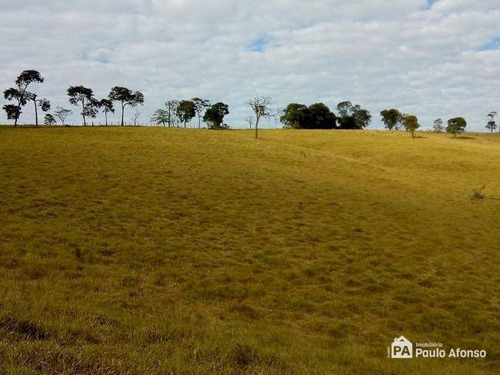 Imagem 6 de 16 de Sítio À Venda, 446000 M² Por R$ 850.000,00 - Zona Rural - Caldas/mg - Si0009