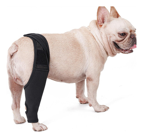 Zy Almohadillas Protectoras De Codo Para Perros Y Mascotas,