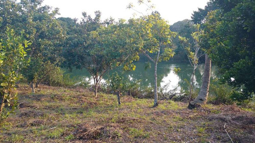 Venta Terreno 5000 M2 Frente Al Estero De Juana Moza Tuxpan Veracruz