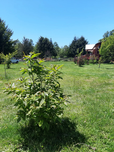 Villarrica Parcela Con 2 Casas Independientes