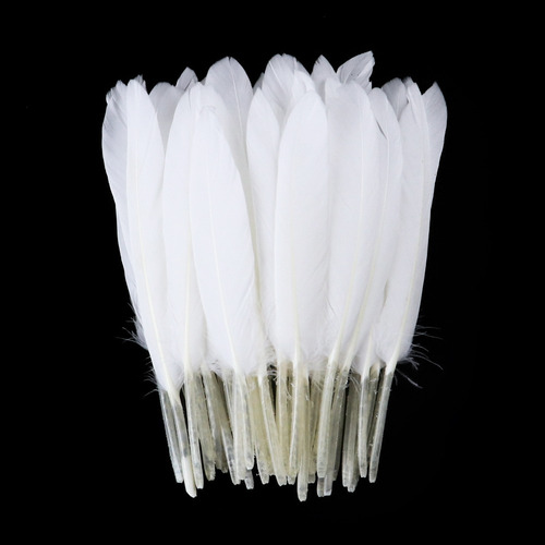 25 Plumas Ganso 10-15cm Colores Artesania Sombrero Vestuario Blanco