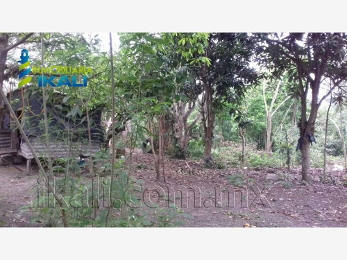 Imagen 3 de 10 de Terreno En Venta Arroyo Del Maiz