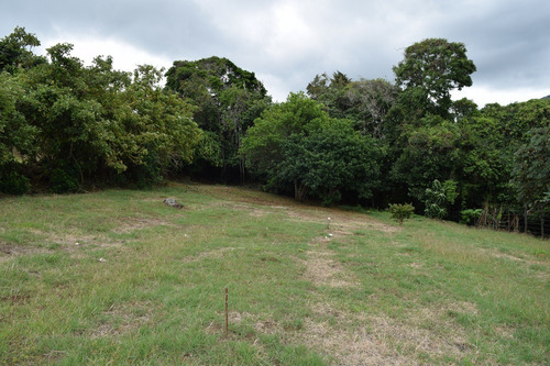 Imagen 11 de 14 de Lote Plano De 878 M2, 400m Al Este Del Lagar En San Isidro