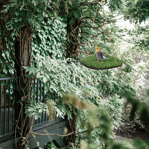 Hamaca Lizard: Columpio De Césped Artificial Para Loros Y Pá